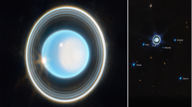 The latest James Webb Space Telescope images capture Uranus and its many moons