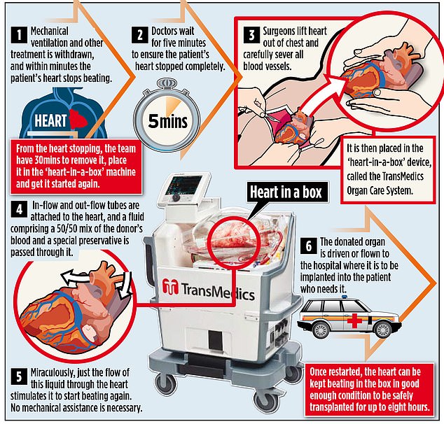 A new technique, which involves restarting a heart in a machine up to half an hour after it has stopped in the donor, has increased the numbers receiving an NHS transplant annually by more than a quarter