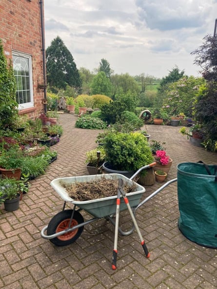 A picture of a large garden with an attractive brick terrace and floral borders, with a wheelbarrow in the foreground