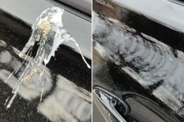 I'm a cleaning whizz - FREE way to get bird poo off your car in seconds