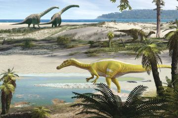 New species of meat-eating dinosaur as big as school bus unearthed in Spain