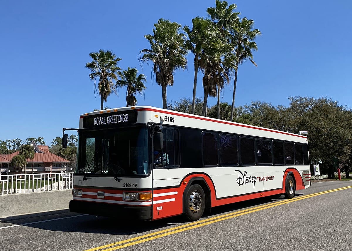 Disney's Bus Transportation System Leaves Guests Stranded and Confused