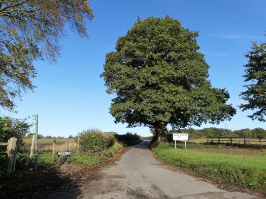 This photo was taken in Winchmore Hill, Buckinghamshire, England, UK