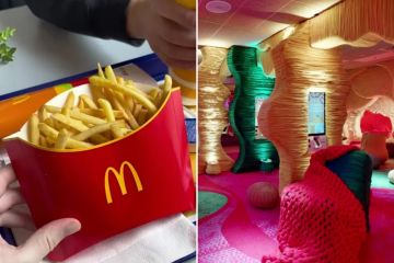 We visited Europe’s craziest McDonalds - the building’s made of WOOL