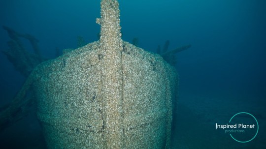 The mussels also produce an acid that can corrode the ship's metalwork