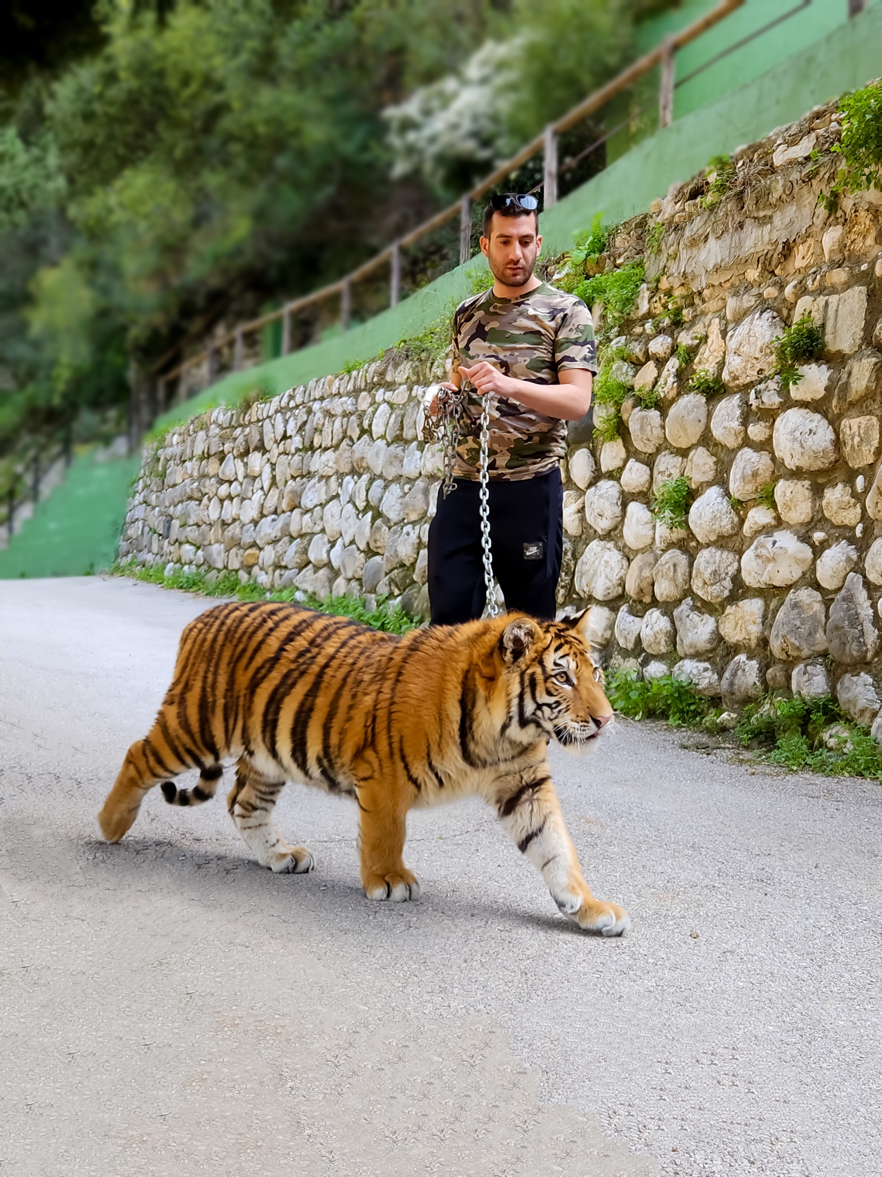 Anthony even takes risks when it comes to his pets and he previously looked after a rescue tiger