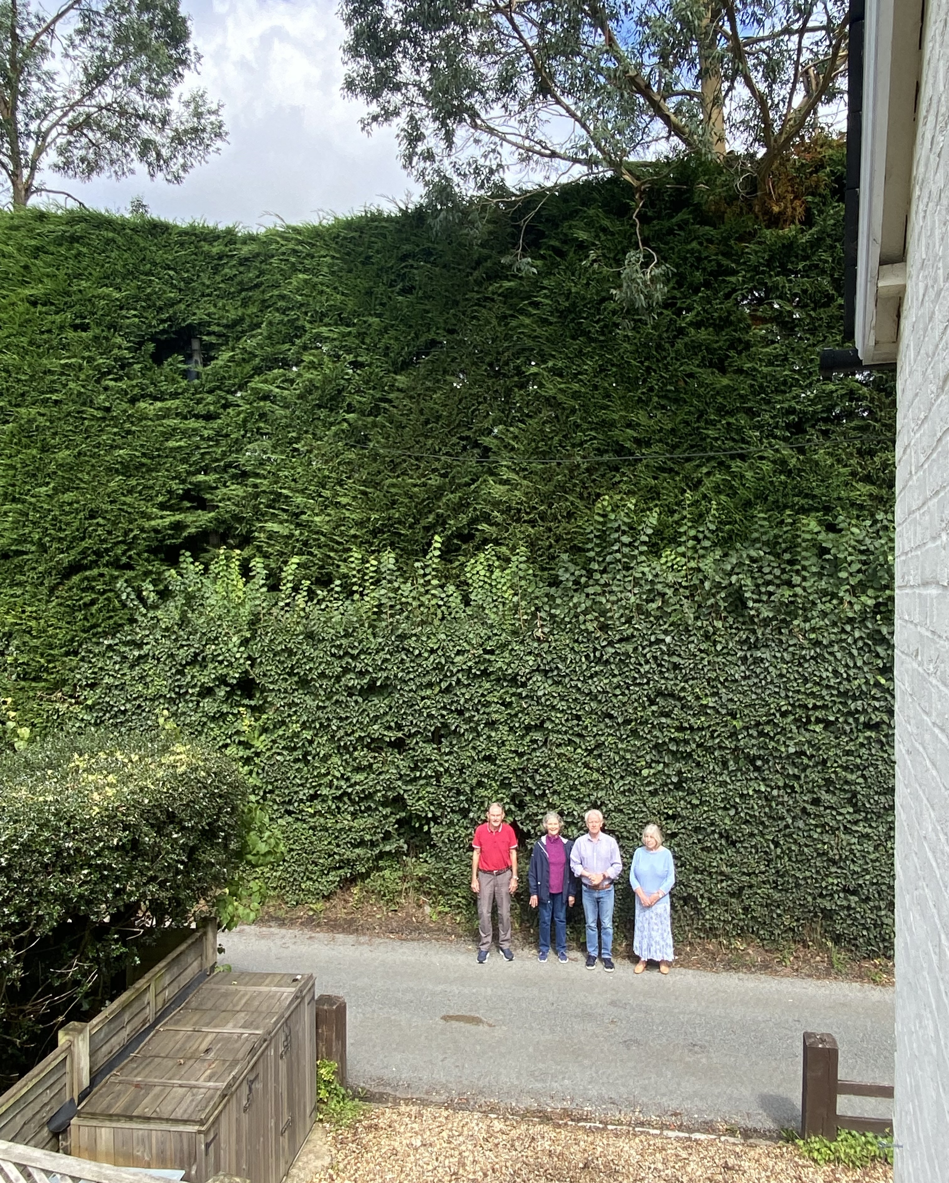 Brook neighbours next to Clare Dyer’s 26ft leylandii hedge