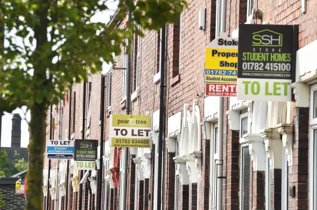 Landlord must investigate extreme mould within 24 hours under a government crackdown