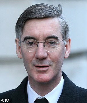 Speaking out: Jacob Rees-Mogg