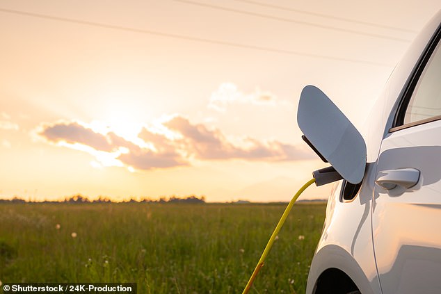 The UK Government needs to act to fast to accelerate the transition to EVs in order to hit net zero targets and reap the benefits of lower CO2 and better air quality, a House of Lords report finds