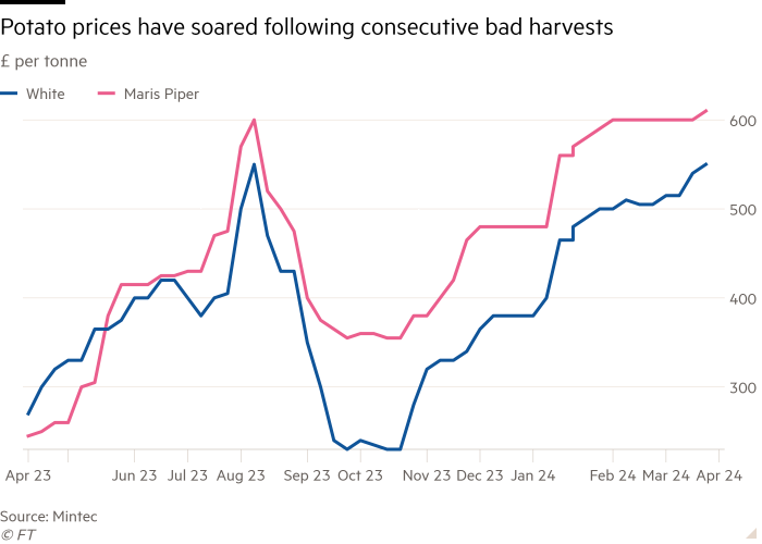 Line chart of £ per tonne showing Potato prices have soared following consecutive bad harvests