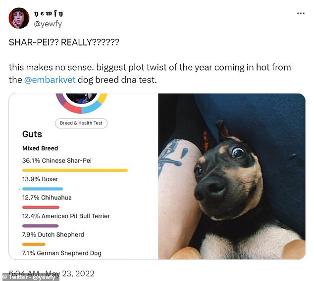 One outraged dog owner said that Embark, a provider of dog DNA tests, delivered the 'biggest plot twist of the year'