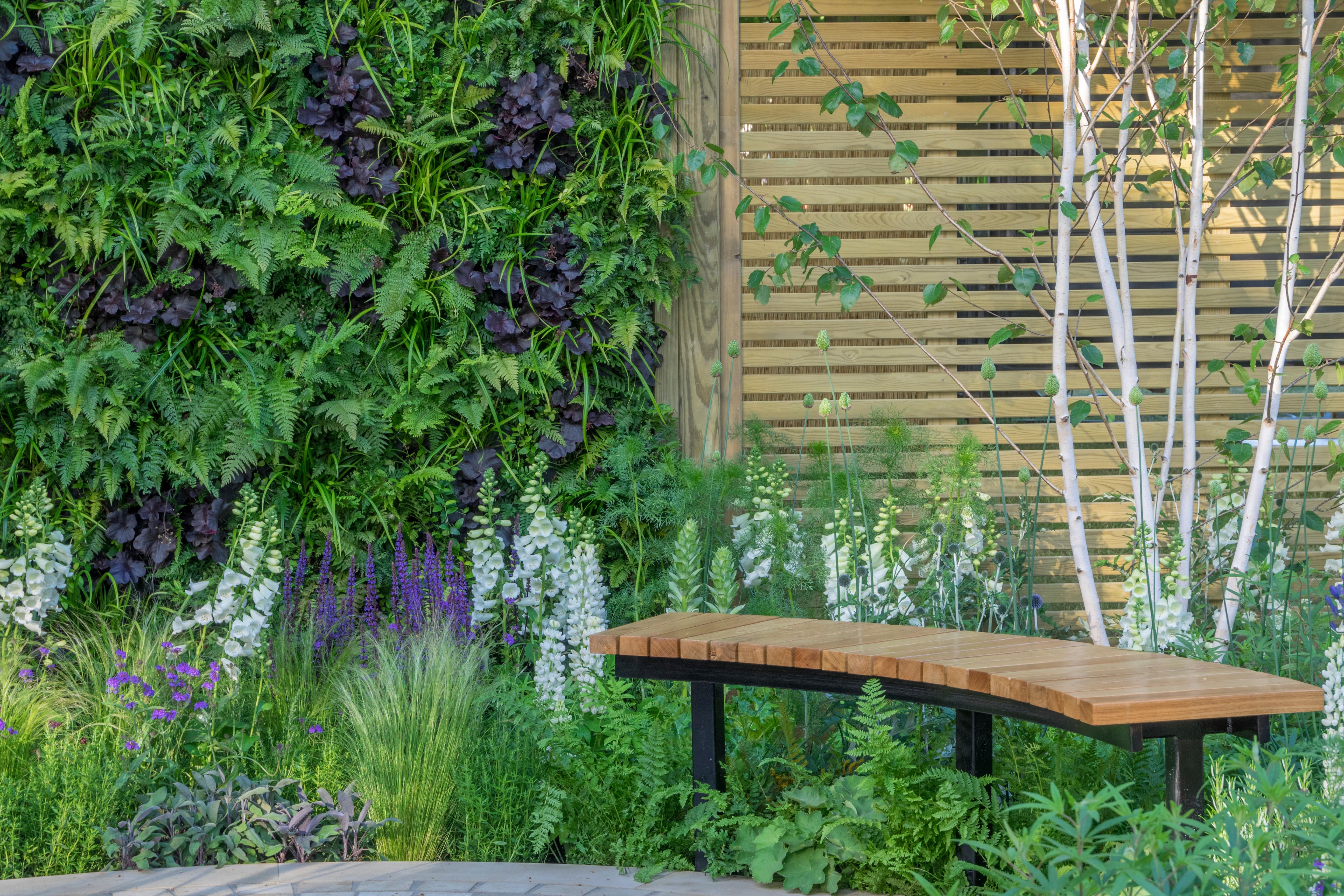 A living wall in a garden