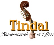 Tindal logo def