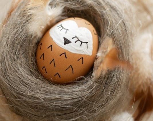 Painted egg in a nest