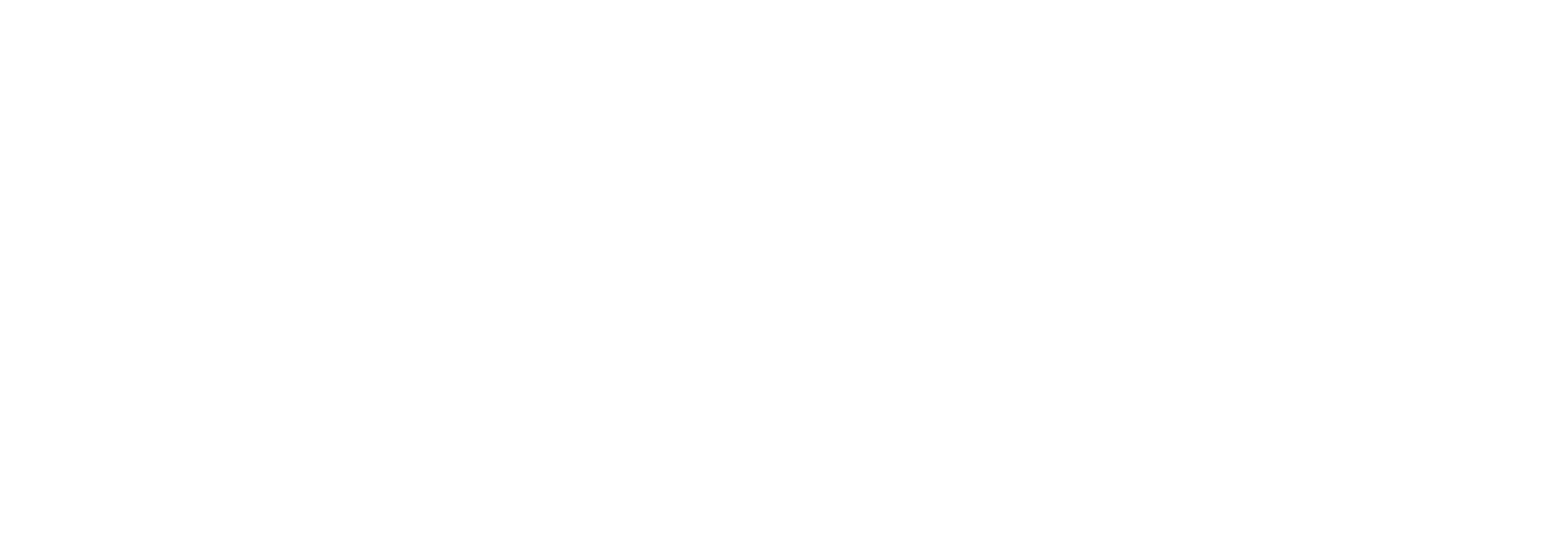 Bewegingsschool De Slinger logo