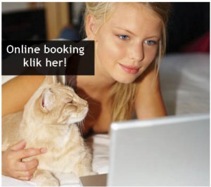 online-booking