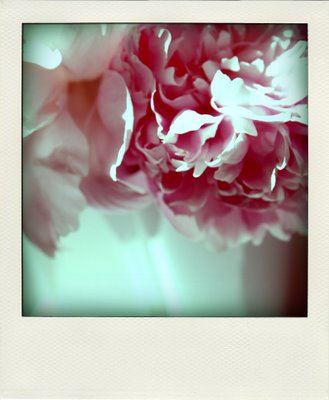 POLADROID