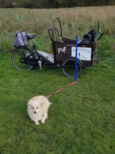 Hundeskole københavn, byhunden, byhunden.dk hundeskole, hundeskole amager