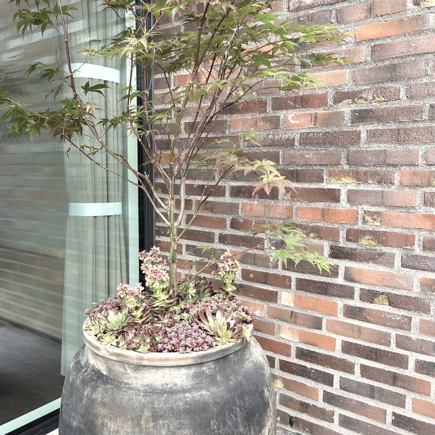 indretning_bysteinvig_planter_styling_facade_leibhaveri_mur