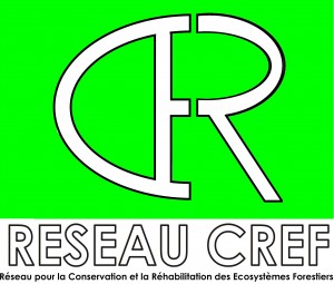 RESEAU-CREF-LOGO--300x255