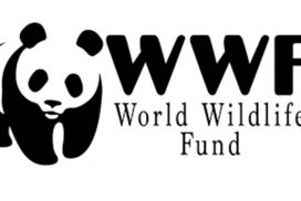 world-wildlife-fun-wwfff