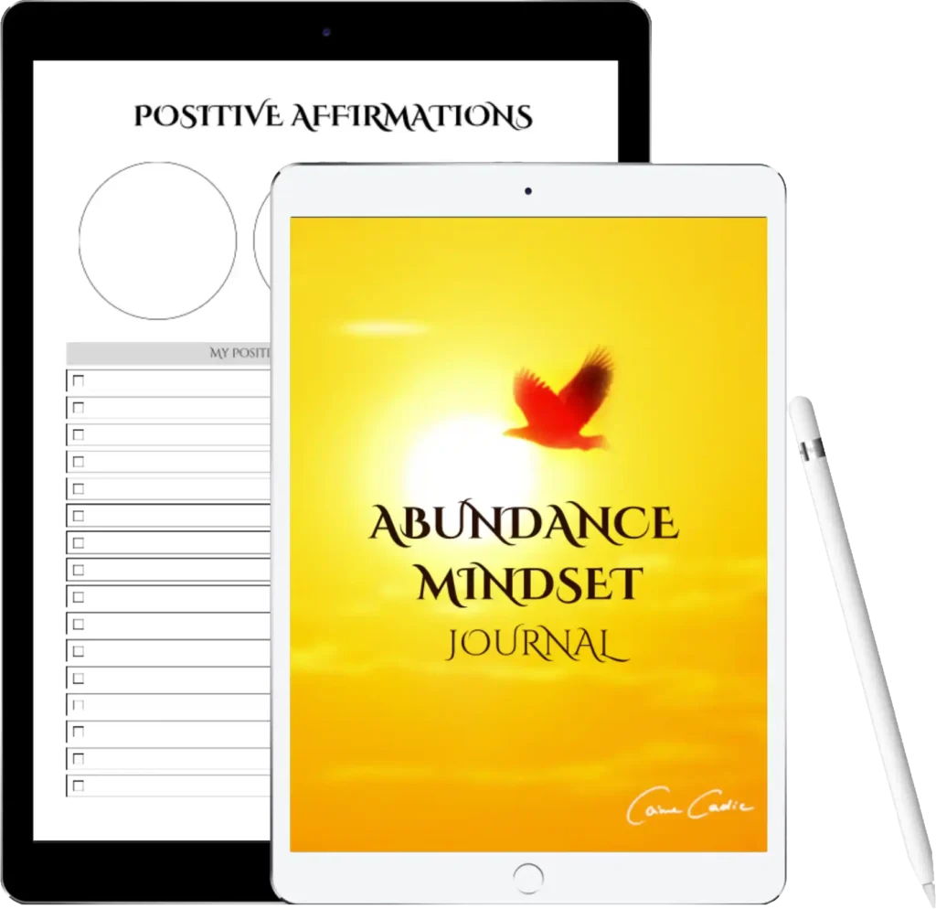 Abundance Mindest Journal