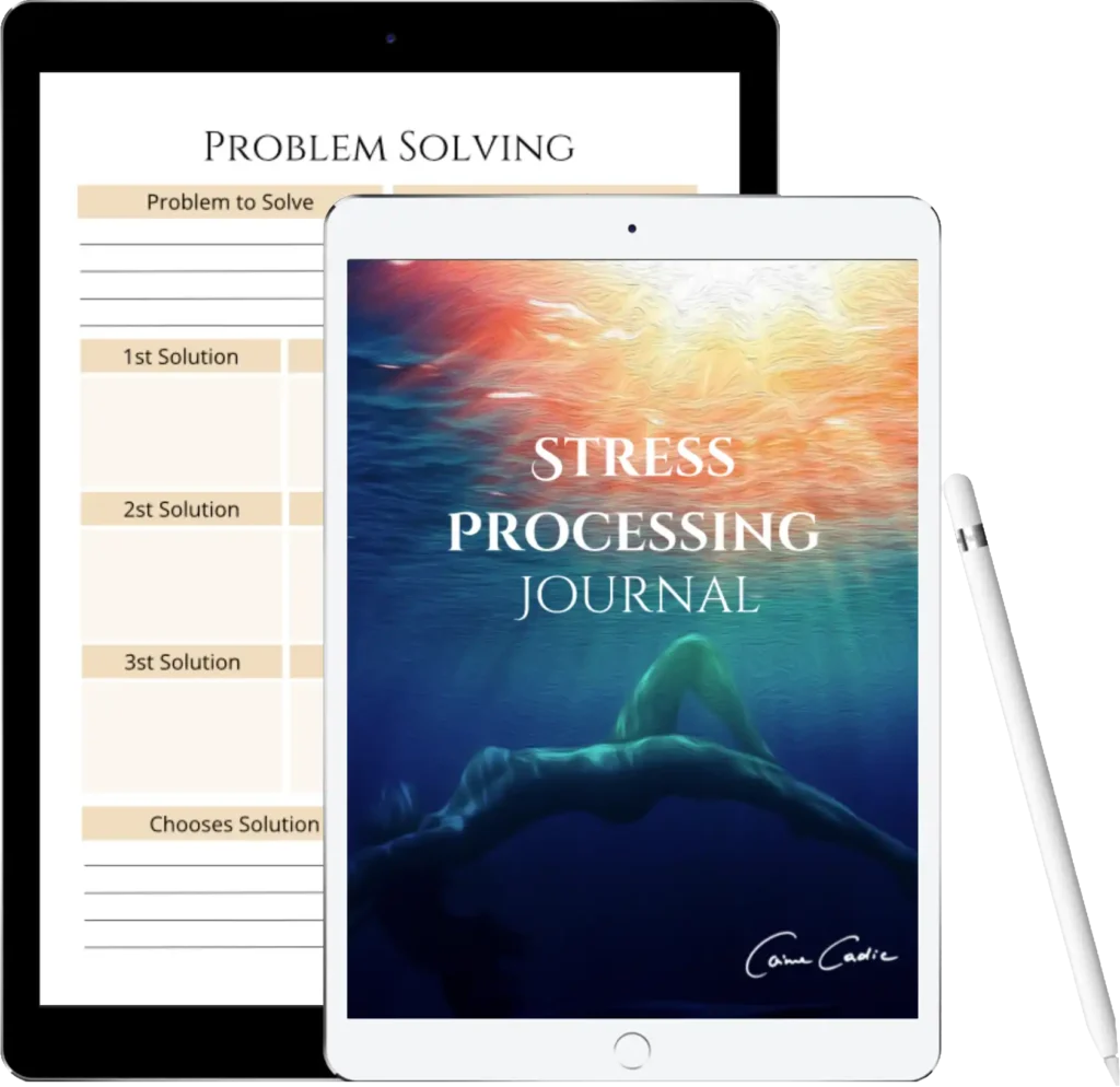 STRESS
PROCESSING
JOURNAL