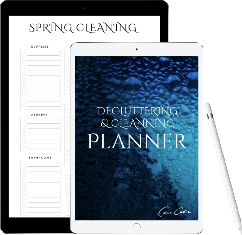 DECLUTTERING & CLEANING 
PLANNER