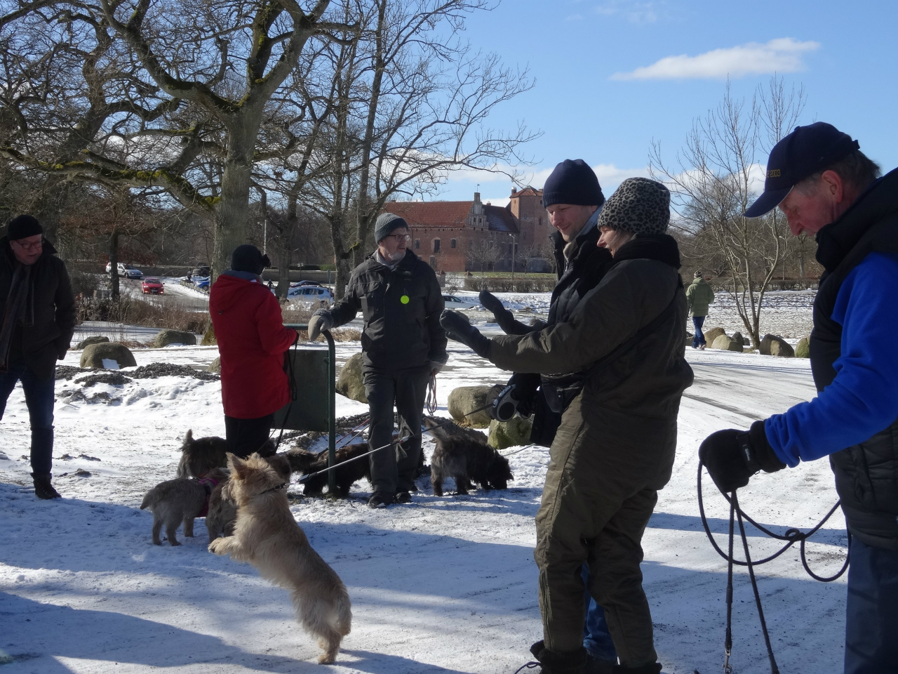 Promenad i Bokskogen 2018