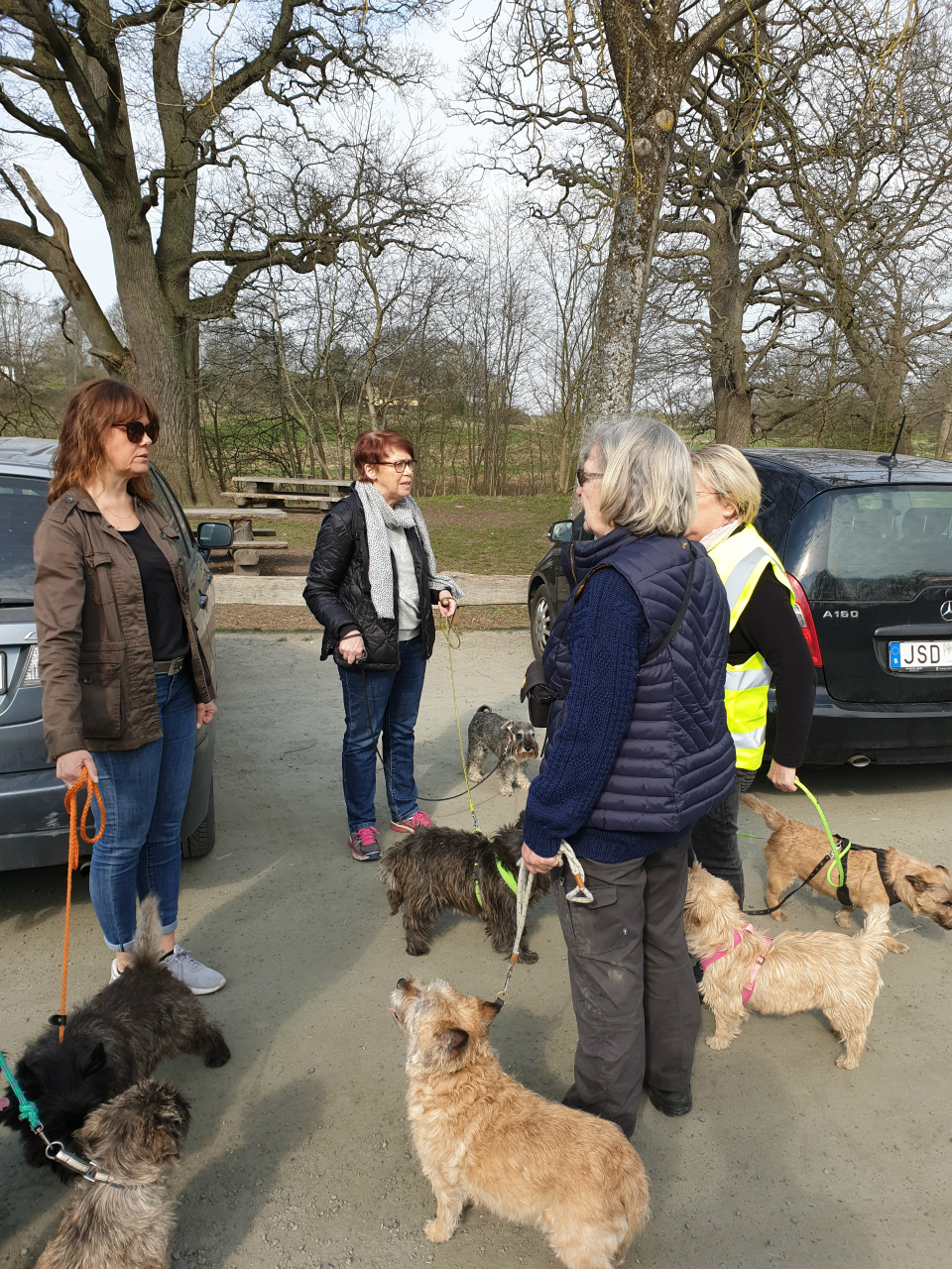 Promenad i Bokskogen 2019