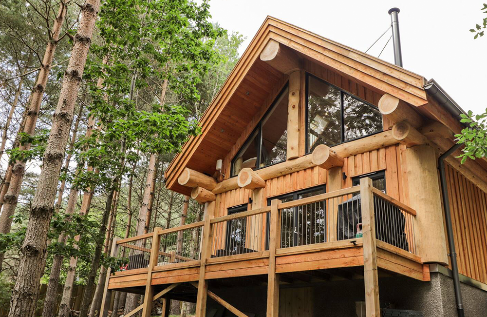 Log cabin interior with stonework