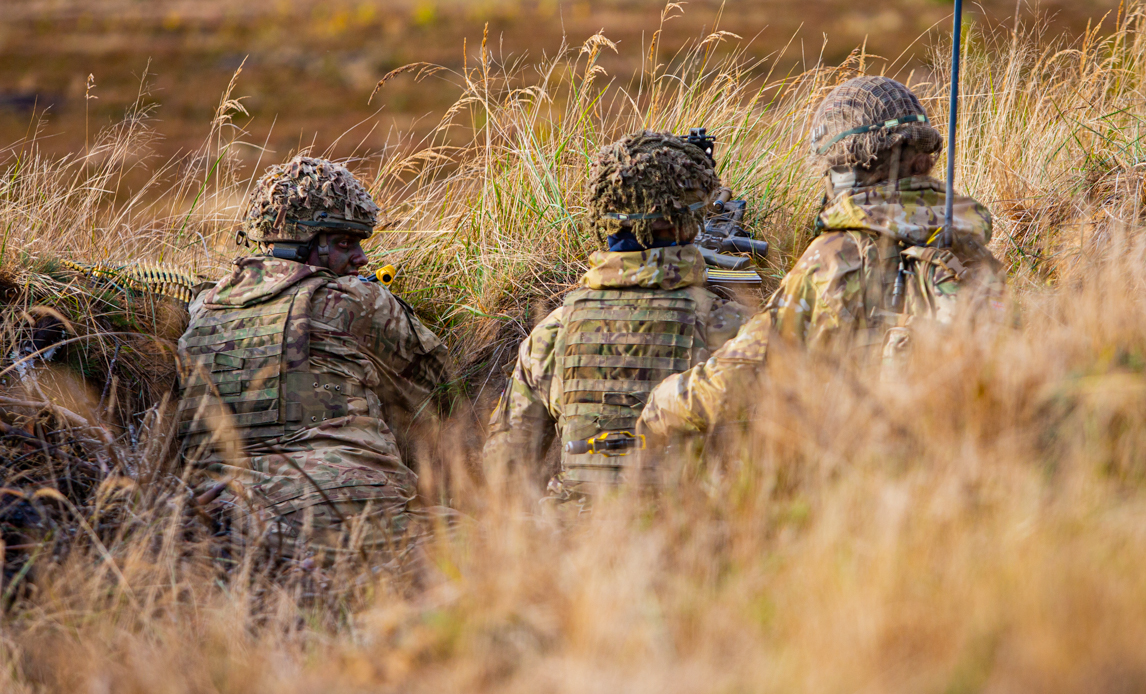 Denmark is rapidly modernising its armed forces.