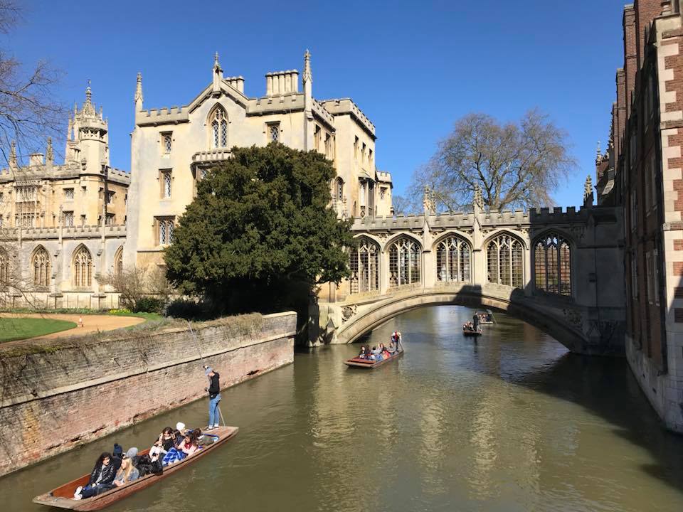 Cambridge Oxbridge Admissions University mentor tutor A levels GCSE