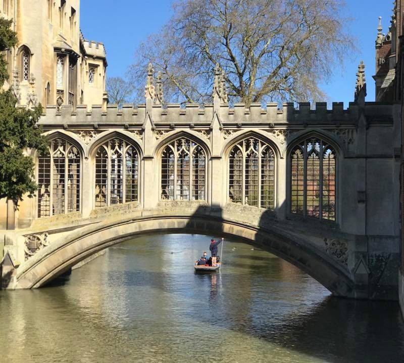 Cambridge Oxbridge Admissions University mentor tutor A levels GCSE