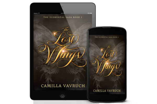 The Lost Wings ebook