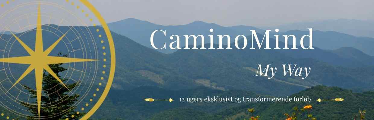 CMMW header landingpage