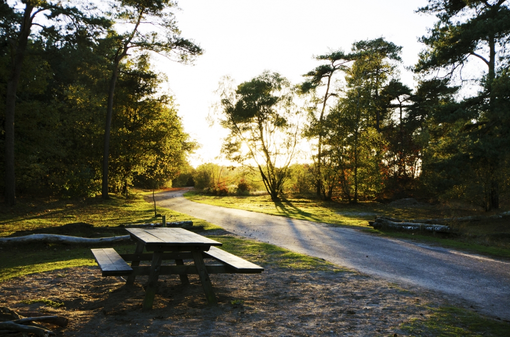 Picknicken - Camping de Eekhoorn