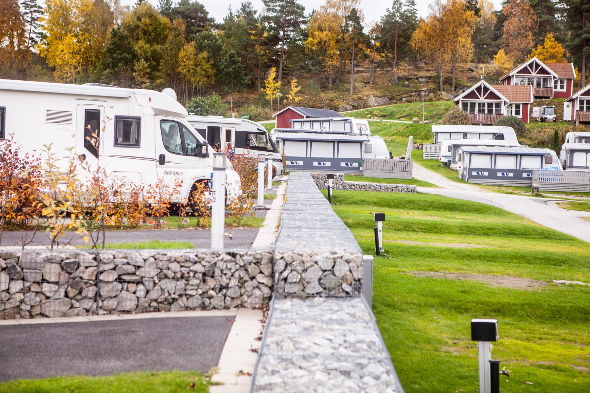 bastad-camping-vastkusten-hund