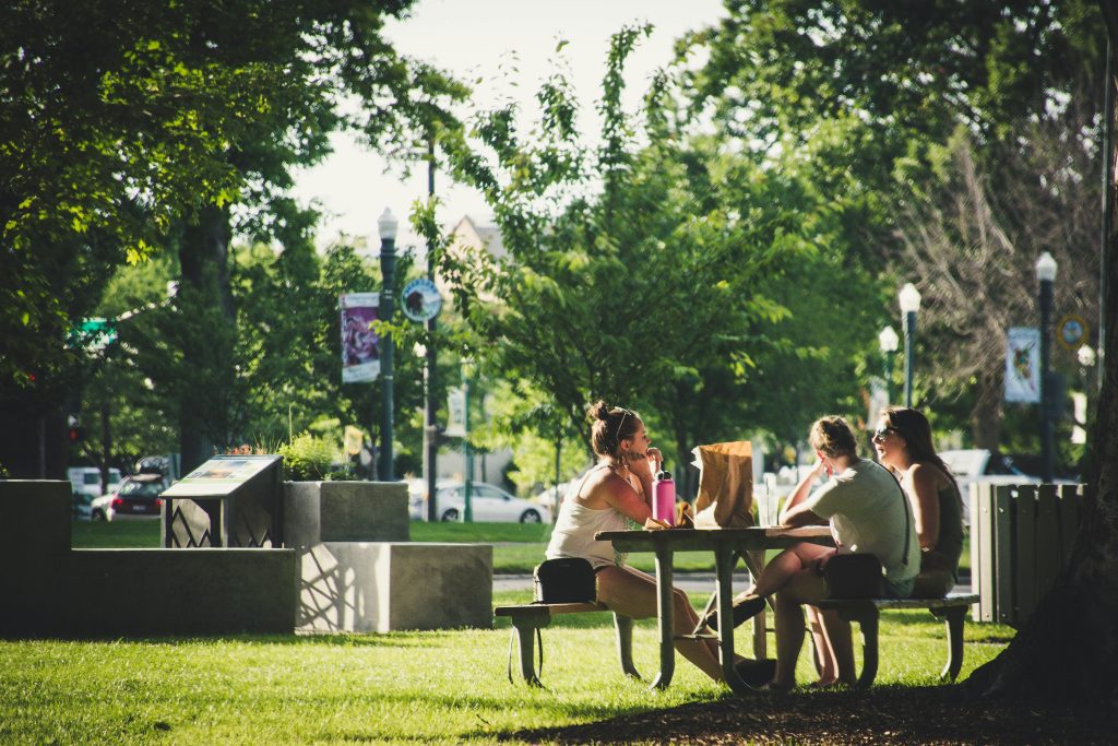 Parks in Oslo that contribute to a great student life.
