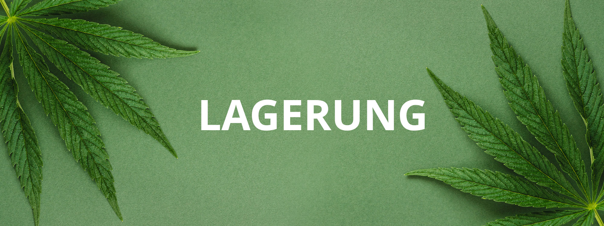 Cannabis Lagerung