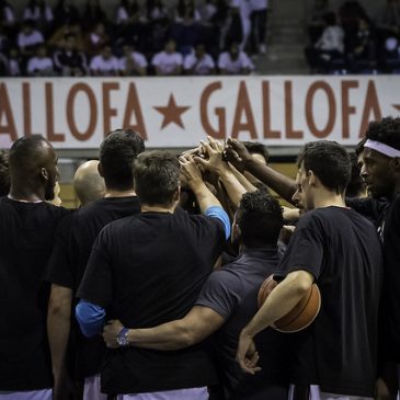 Gallofa busca la cuarta victoria consecutiva ante Mondragón Unibertsitatea