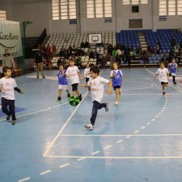 Los equipos Gallofa de BabyBasket juegan el domingo en La Albericia