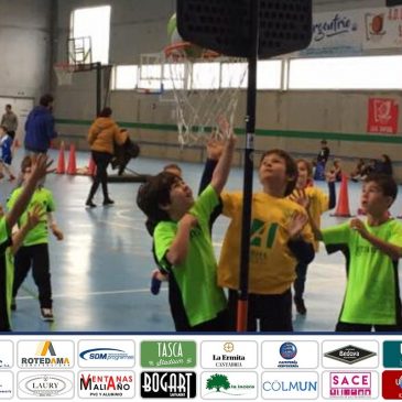 Los equipos de Baby-Basket de Arha Hoteles debutaron en Santoña