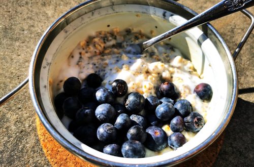 Hier findest du ein schnelles Rezept für Joghurt-Porridge mit Heidelbeeren - einfach, lecker und gesund. Das perfekte Frühstück: vegan!