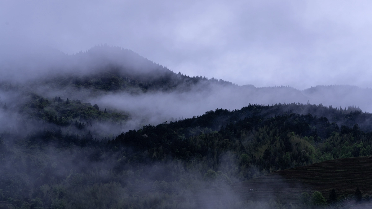 Guilin, Longji © Fotograf Janus Olsen