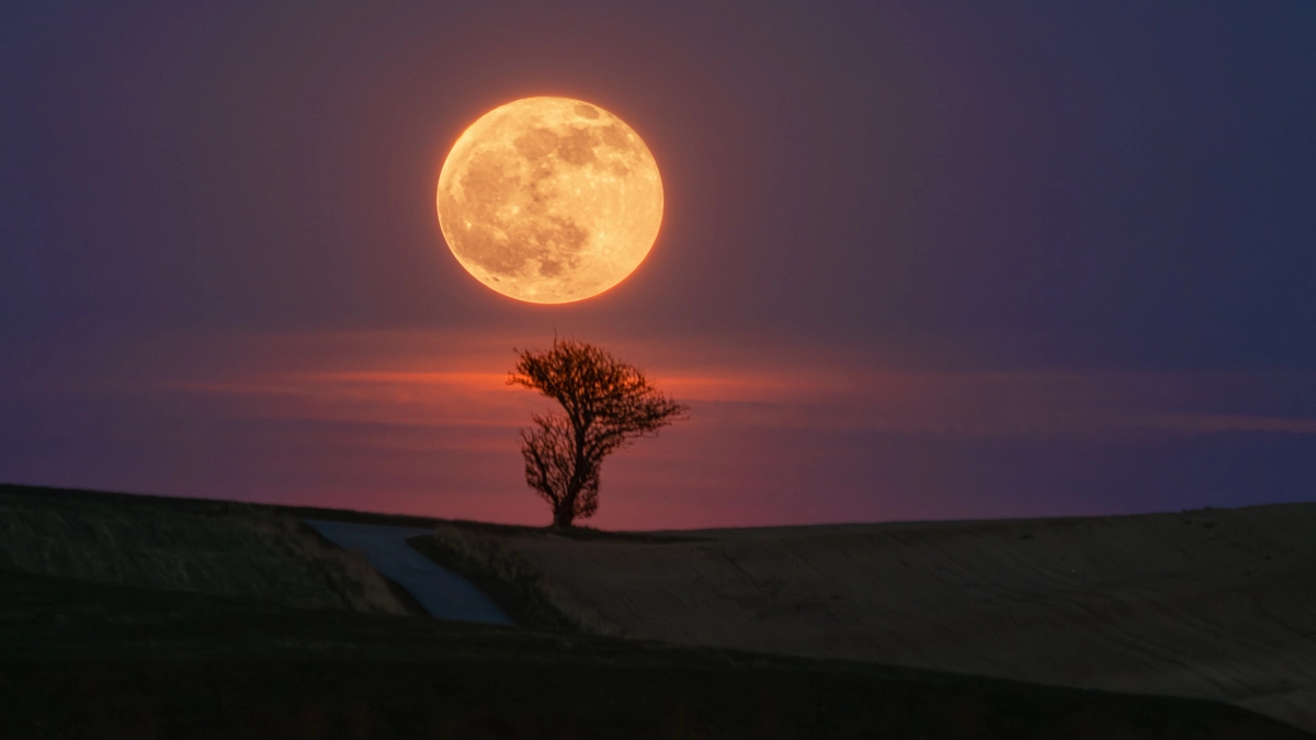 Omø, Omø Havn © Fotograf Janus Olsen