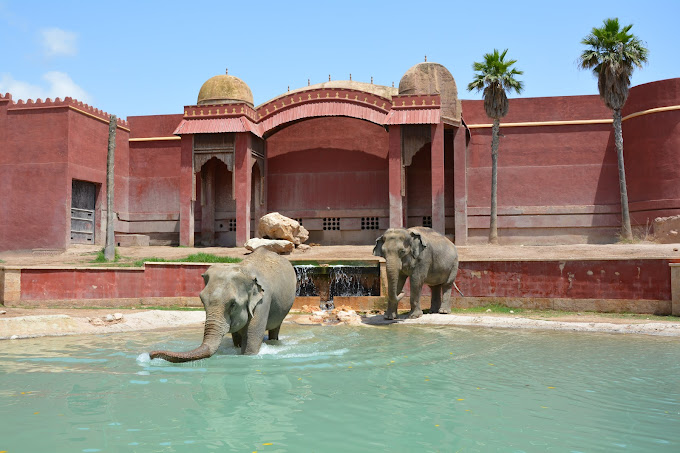 Terra Natura Benidorm