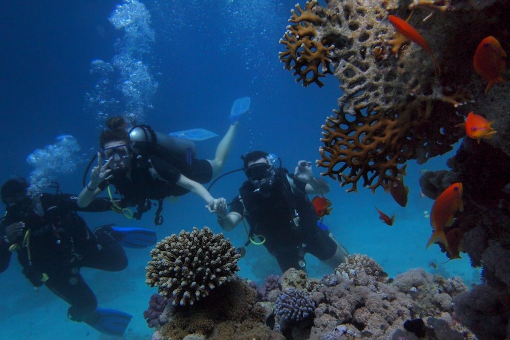 Snorkeling