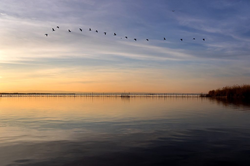 Albufera Natural Park